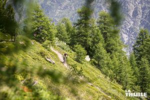 10947465_729745697151601_5721694405971773216_o