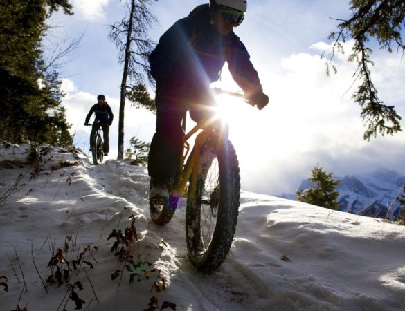 Prowinter - Snow Bike