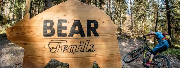 Lungo il Bear Trails