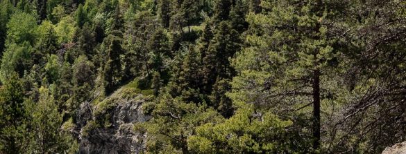 Sentieri sfidanti immersi in ambienti epici con panorami che lasciano senza fiato... tutto questo e tanto altro è Valle d'Aosta