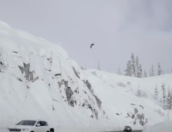 josh daiek backflip