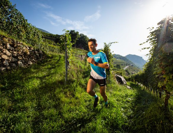 Marco De Gasperi in ricognizione sul percorso del Valtellina Wine Trail 2019. Senza di lui e ad un gruppo di suoi amici, la gara non sarebbe probabilmente mai nata!