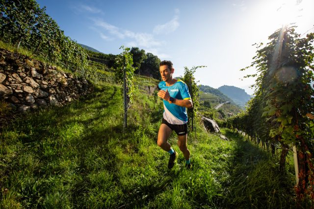 Marco De Gasperi in ricognizione sul percorso del Valtellina Wine Trail 2019. Senza di lui e ad un gruppo di suoi amici, la gara non sarebbe probabilmente mai nata!