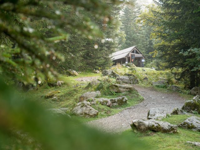 Il primo tratto di sentiero all'interno del Parco Alpha