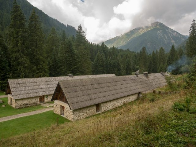 All'interno dei Parco Alpha, nei pressi di Le Boreon