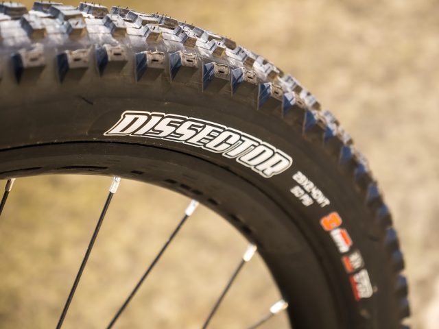Maxxis Dissector Test_01