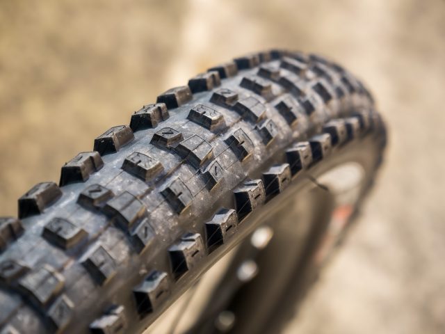 Maxxis Dissector Test_05