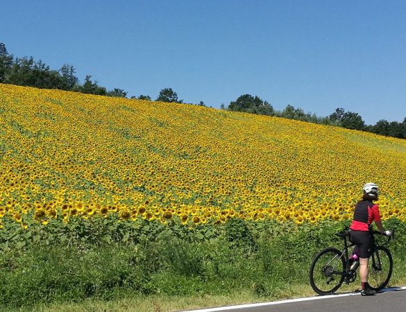 Voglio pedalare con te e stare al tuo fianco