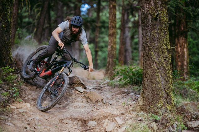 Specialized Stumpjumper Evo - action