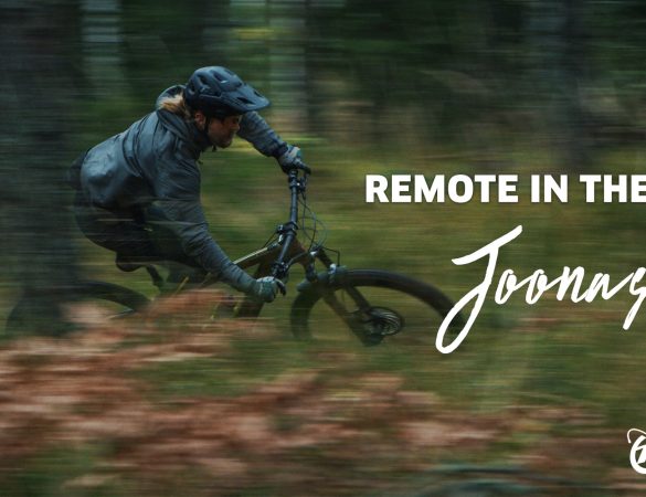 Remote in the Wild - Joonas - cover video