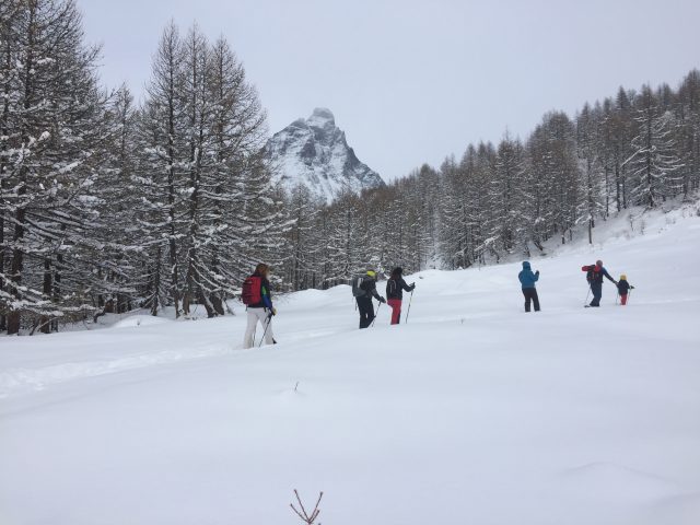 Uno scorcio del percorso Layet con una piccola alternativa in neve fresca non battuta, perfetto per Snow running e Snowshoes