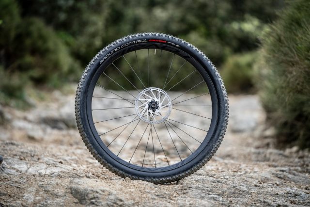 Specialized Roval Control Carbon - ant