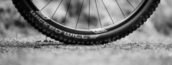 Schwalbe Wicked Will MY22 - cover