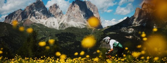 EWS Val di Fassa report - cover