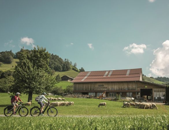 Svizzera turismo in bici - cover