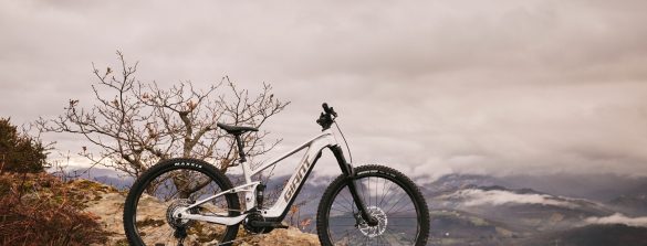 Giant Stance E+ MY23 eMTB - cover