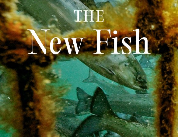 PATAGONIA_The New Fish