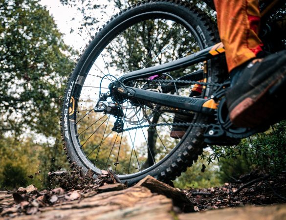 Pneumatici mountain bike Trail Enduro guida alla scelta - cover