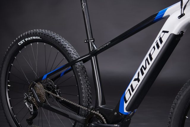 Olympia Performer 900 eMTB hardtail - 02