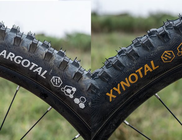 Continental Argotal e Xynotal pneumatici MTB Trail Enduro test - cover