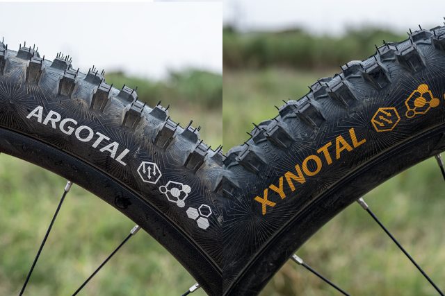 Continental Argotal e Xynotal pneumatici MTB Trail Enduro test - cover