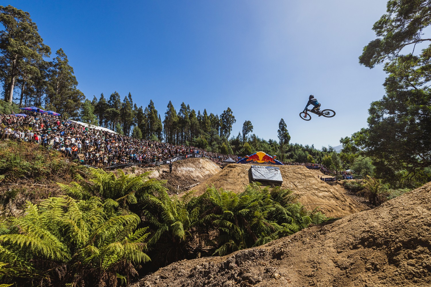 Red Bull Hardline Australia 2024 - Ronan Dunne