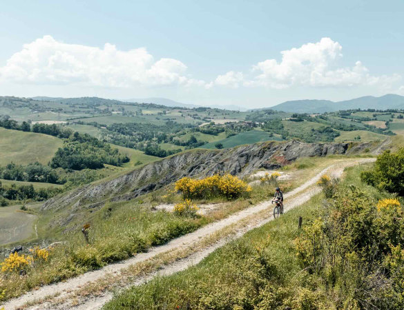Gravel Gourmet e Valli di Parma, ancora insieme