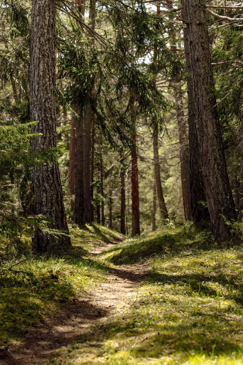 crans montana mtb experience - 10