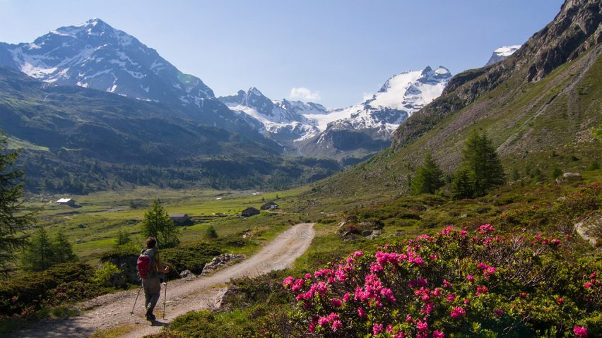 bormio val viola