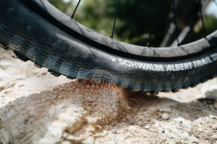 Schwalbe Radial - close-up