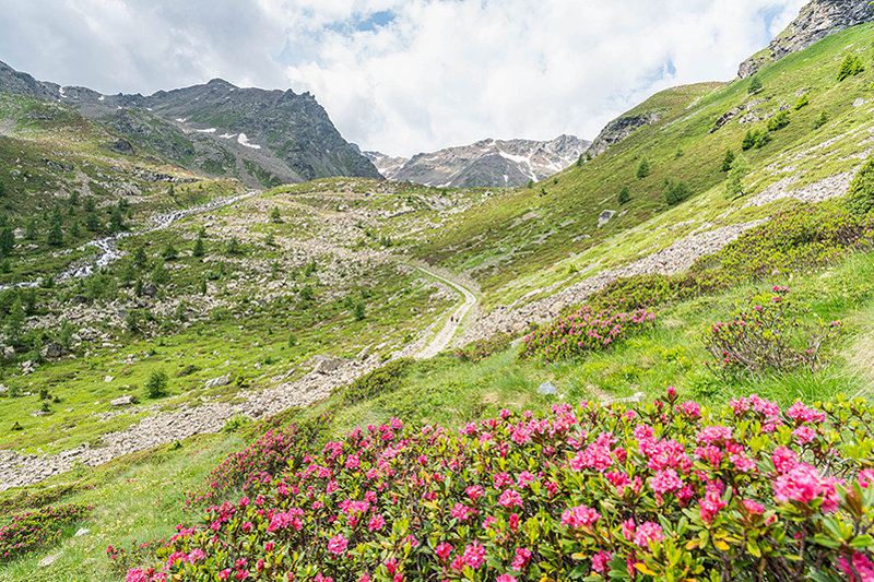 hiking valdisotto malga zandilla lago di campaccio