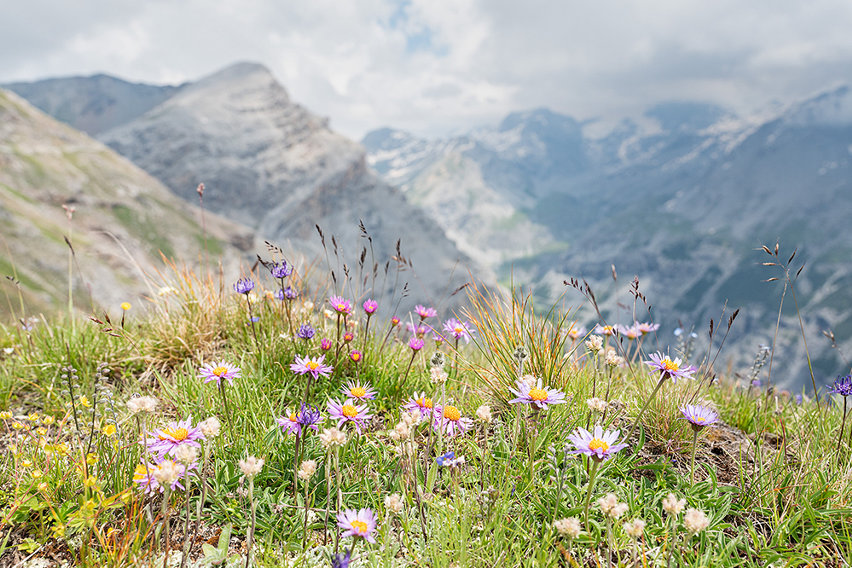 Bormio hiking