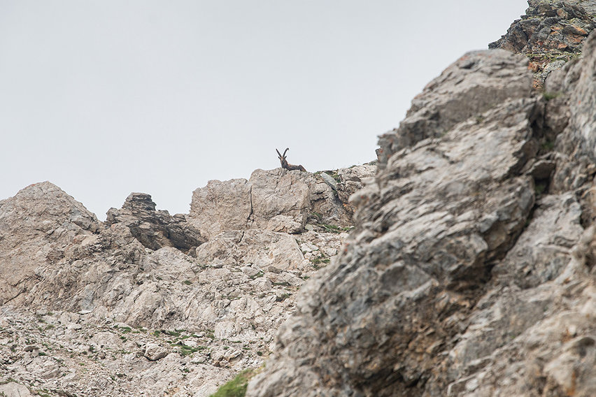 Bormio hiking