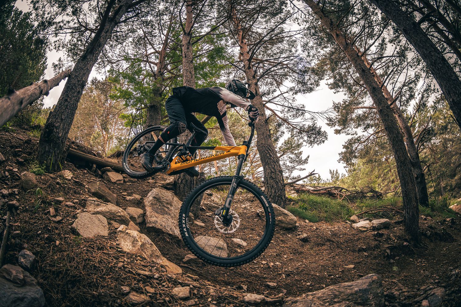 mondraker gamma 2025 anteprima - action