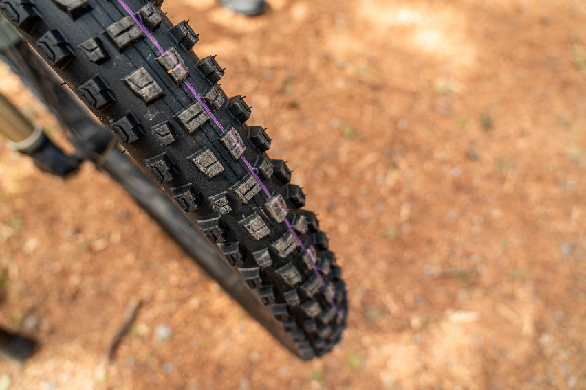 schwalbe albert pro - pneumatici mtb test - 01