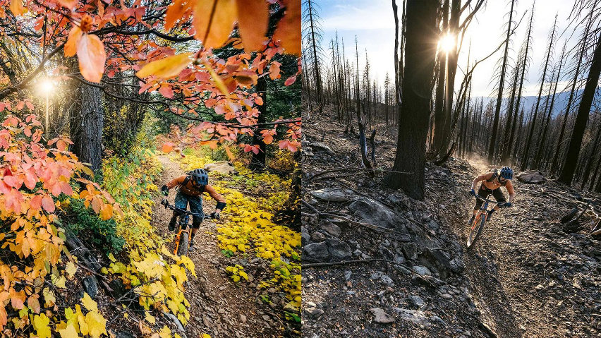 patagonia fire lines - prima e dopo