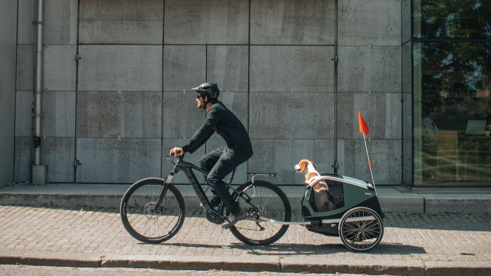 Thule presenta Bexey, l’innovativo rimorchio da bici per cani