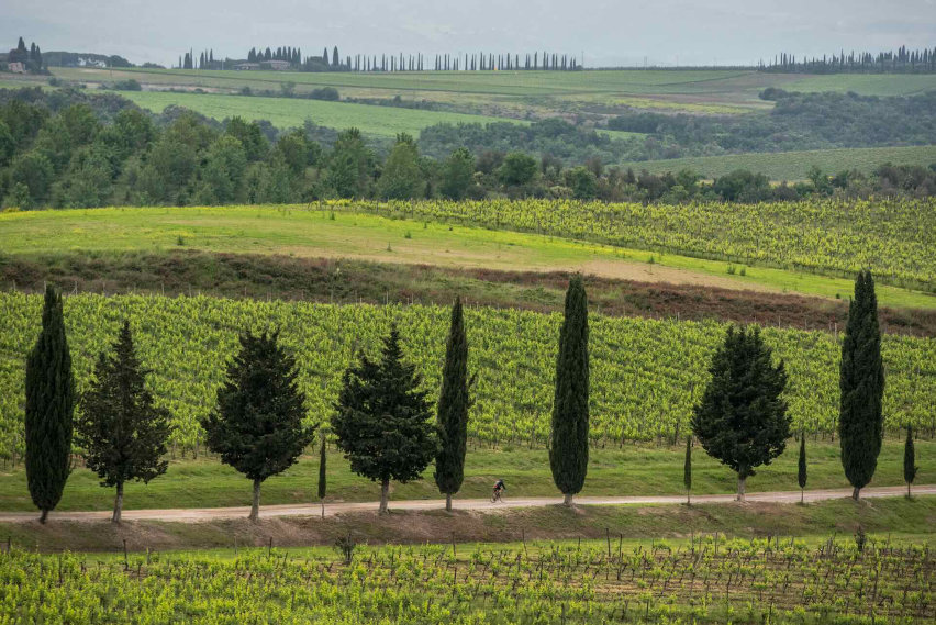 toscana in bici cultura e natura - 01