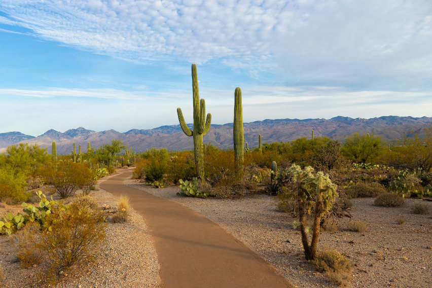 10 migliori destinazioni invernali bici secondo buycycle - arizona