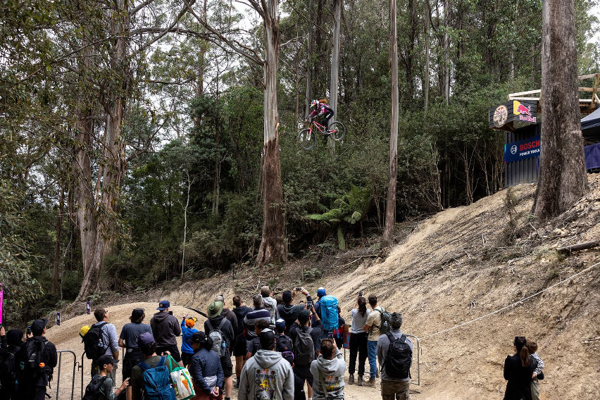 red bull hardline tasmania 2025 - gracey harmstreet gara