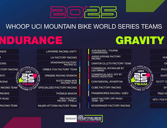 UCI Mountain Bike World Series Team - cover