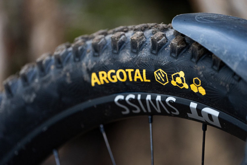 continental mtb gravity 2025 update - argotal