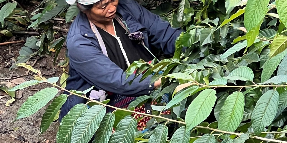 Thailandia…tra caffè e UTMB