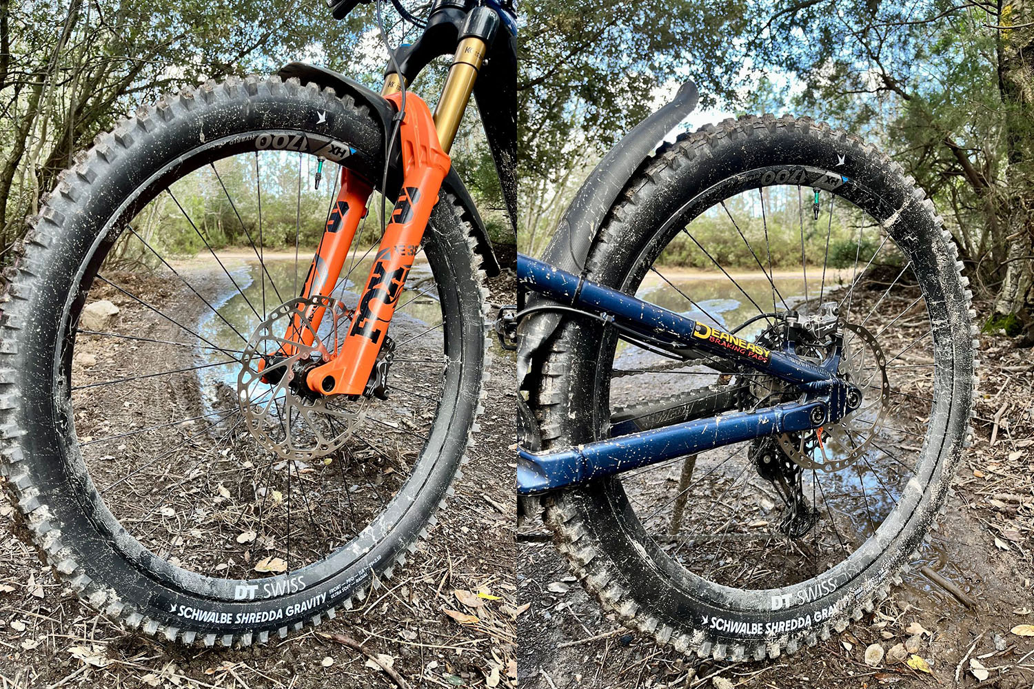 schwalbe shredda - test pneumatici mtb - cover