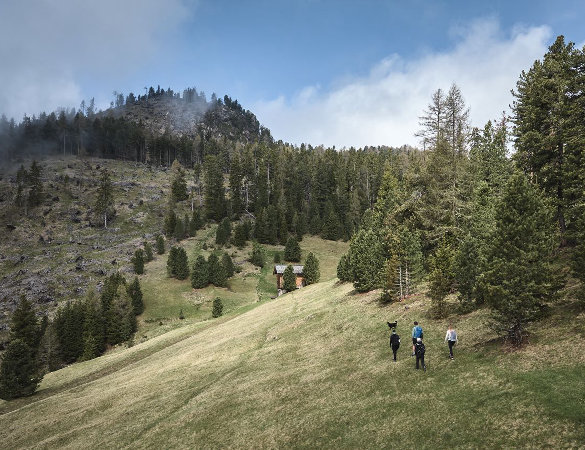 AMA Stay: tra avventura e arte nel cuore delle Dolomiti