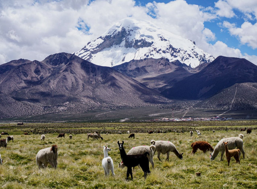 bolivia Elena Casolaro