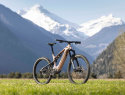 haibike allmtn trn/iq con pinion mgu e1.12 - cover