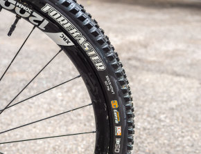 maxxis forecaster exo+ test - cover