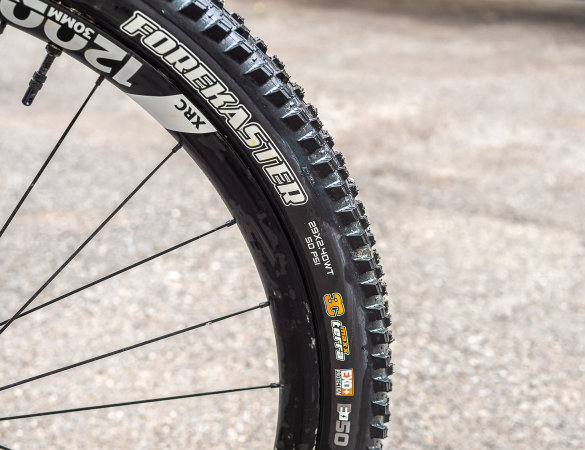 maxxis forecaster exo+ test - cover