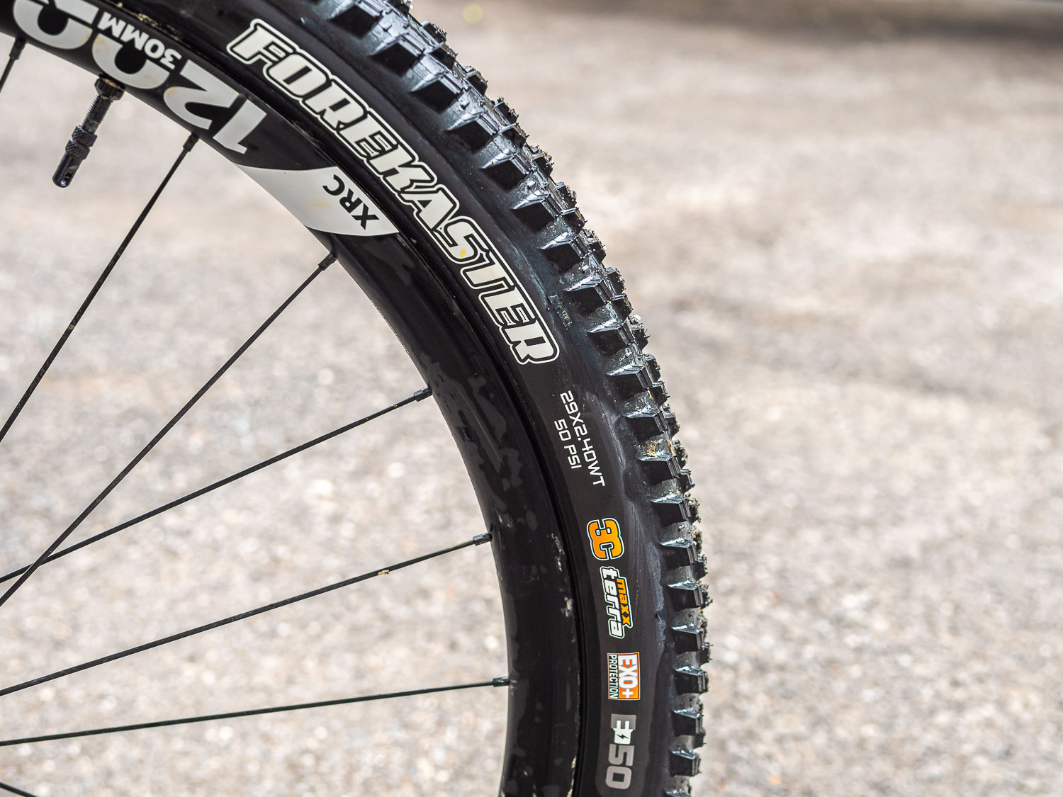 maxxis forecaster exo+ test - cover